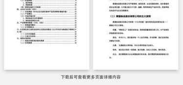 食品公司营销策划书Word模板下载指南