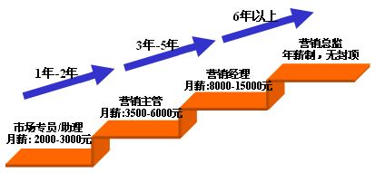 营销之路 通往世界500强领导层的战略起点